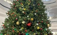 A christmas tree in a shopping mall.