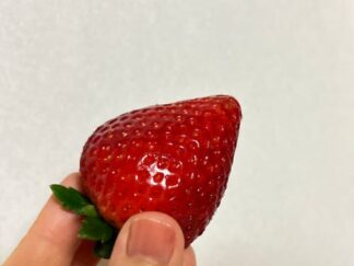 a strawberry