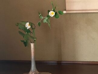 sal tree flower