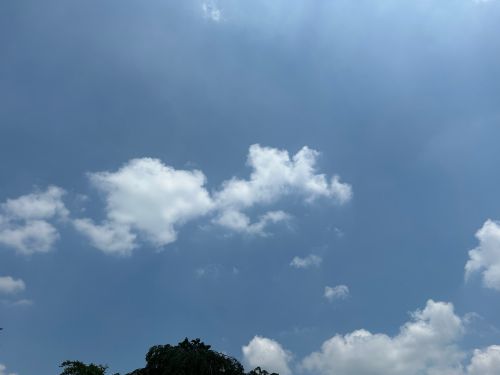 summer sky