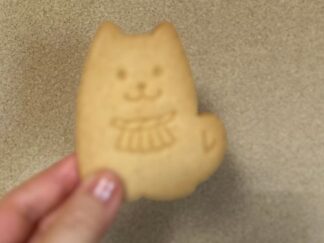 a dog shaped biscuit
