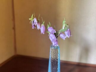 bellflowers