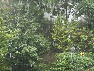 heavy rain