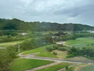 countryside green scenery 