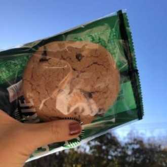 chocolate chip cookie