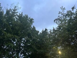 Evening sky