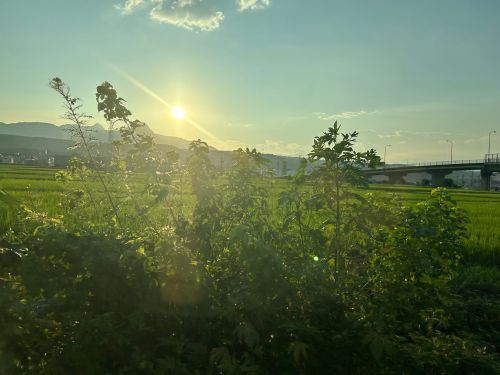 sunset view