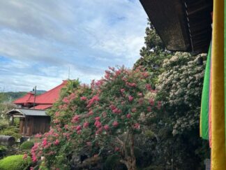 summer sky from the temple