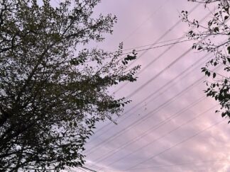 pink gray sky