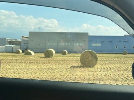 fields