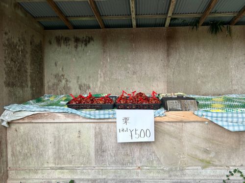 chestnut stand