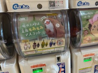 gacha of buncho plush toy