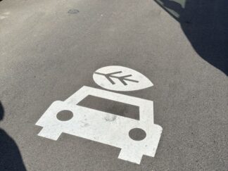 picture of a car with a leaf