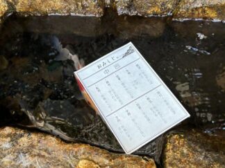 an omikuji floating on the water