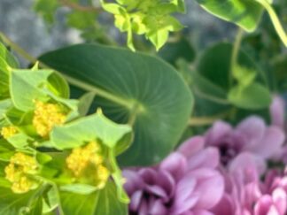 a bouquet of flowers